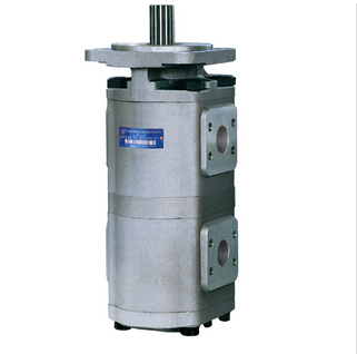 CBG2 雙(shuang)聯齒輪(lun)油泵.png